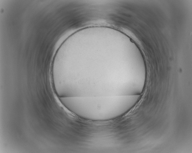 X0000074281440200609151841