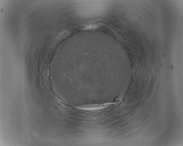 X0000074281441200609151840