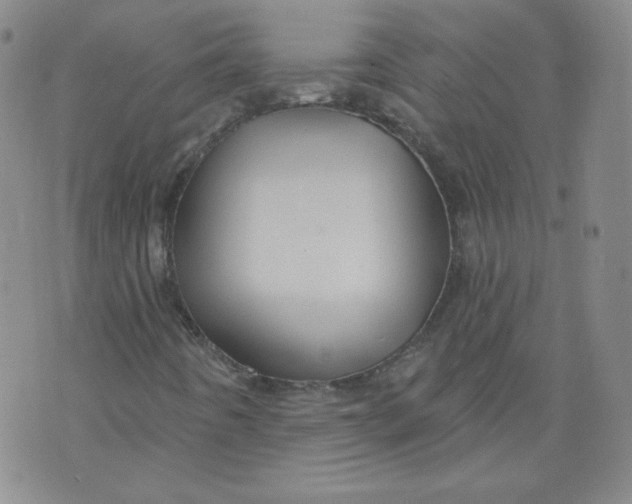 X0000074281442200609151840