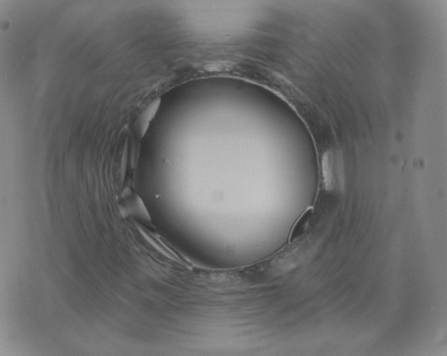 X0000074281443200609151840