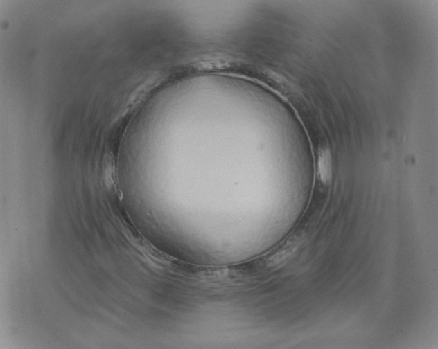 X0000074281444200609151840