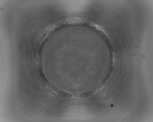 X0000074281445200609151840