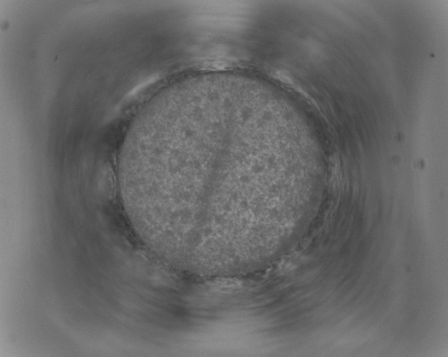 X0000074281446200609151840