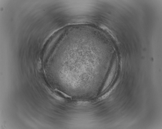 X0000074281449200609151840