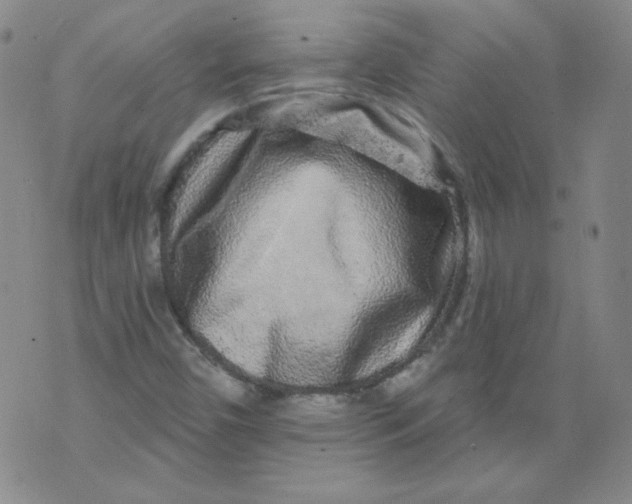 X0000074281450200609151840