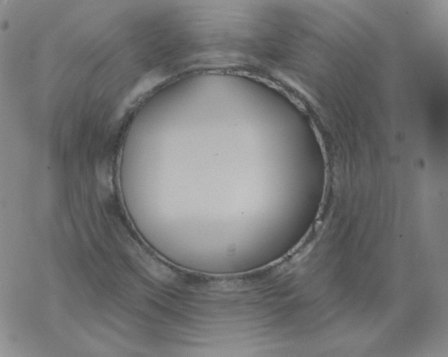 X0000074281451200609151840