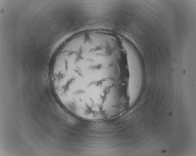 X0000074281452200609151840