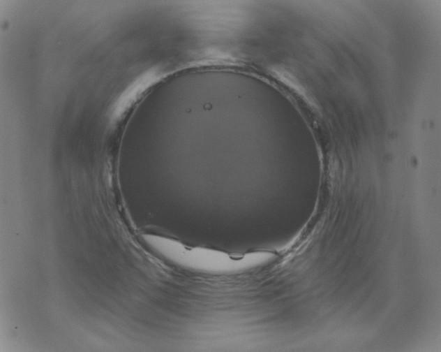 X0000074281455200609151840