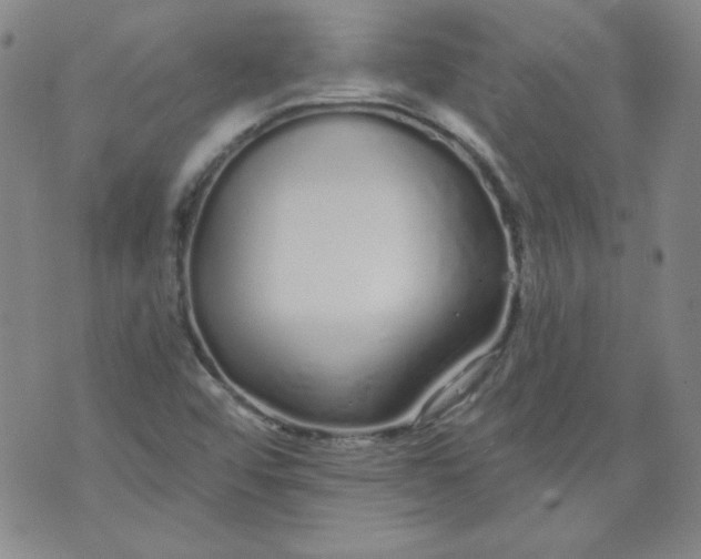 X0000074281456200609151840