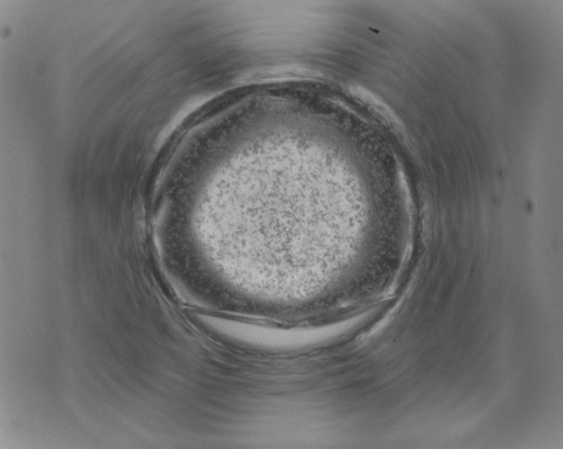 X0000074281457200609151840