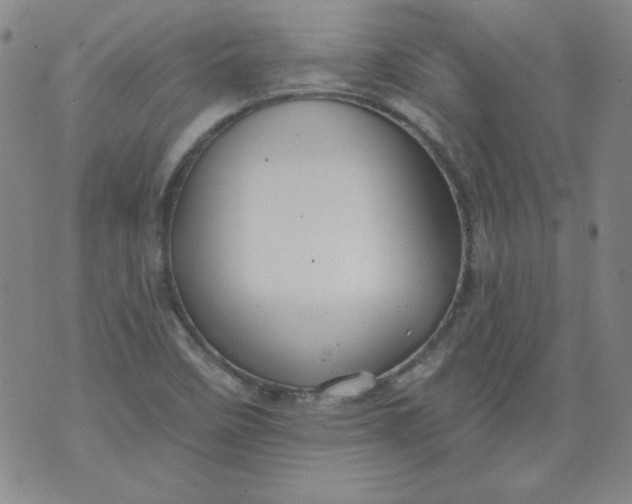 X0000074281458200609151840