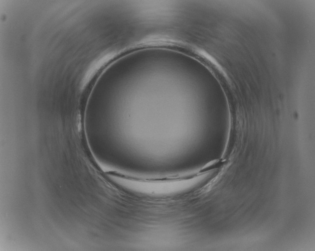 X0000074281461200609151840