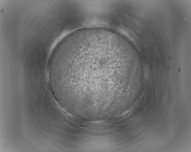 X0000074281462200609151840