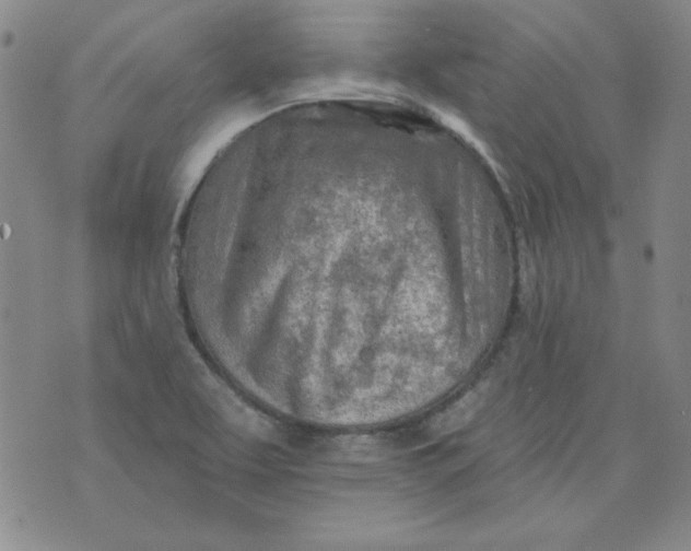 X0000074281463200609151840