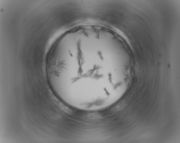 X0000074281464200609151840