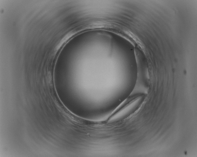 X0000074281465200609151840