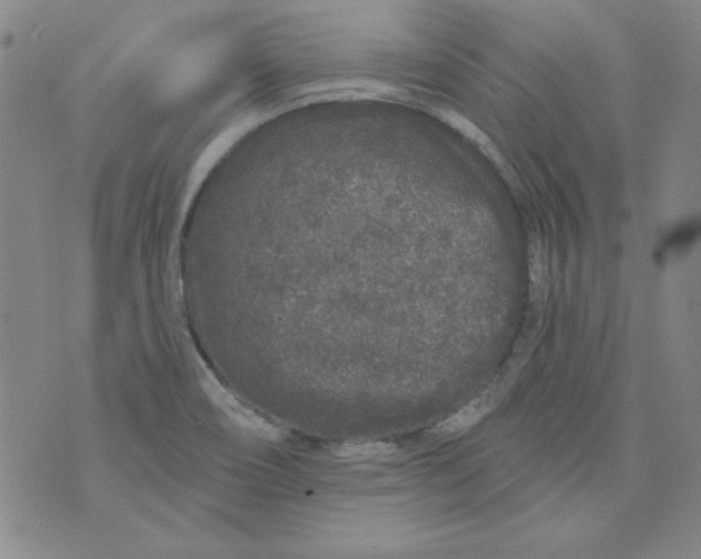 X0000074281466200609151840