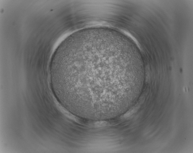 X0000074281467200609151840