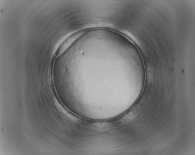 X0000074281468200609151840