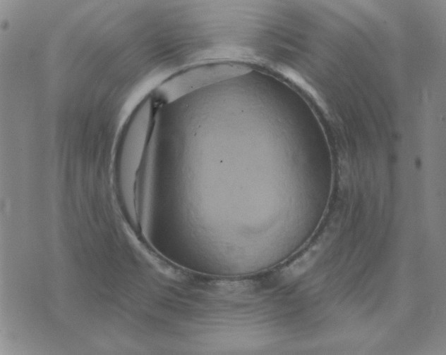 X0000074281469200609151839