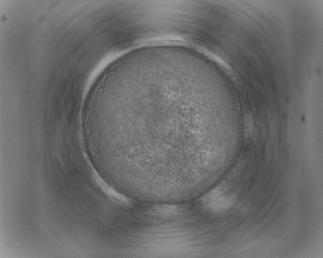 X0000074281470200609151839