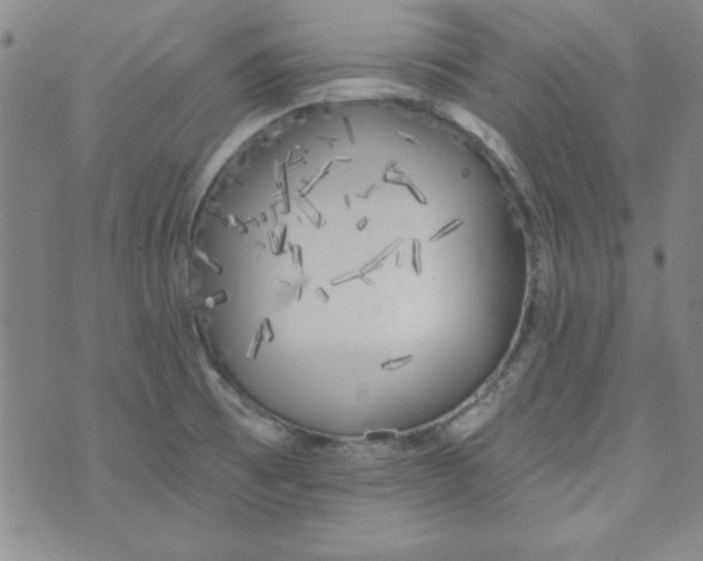 X0000074281473200609151839