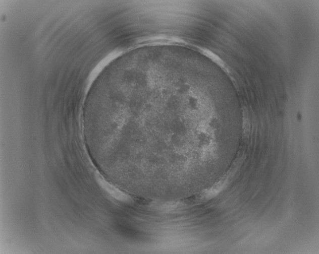 X0000074281474200609151839