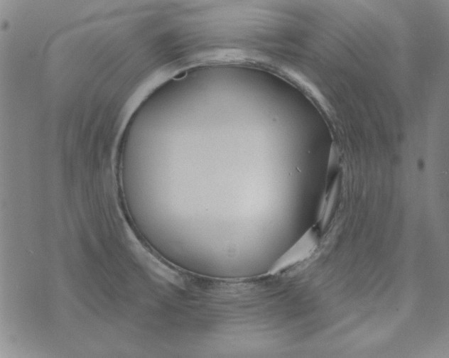 X0000074281475200609151839