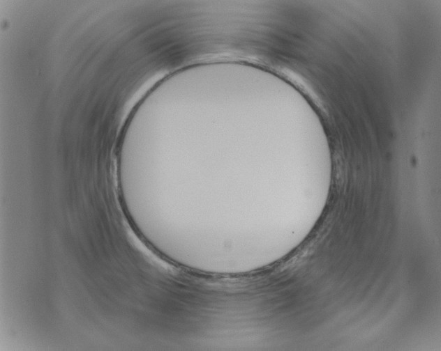 X0000074281476200609151839