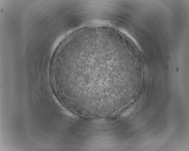 X0000074281477200609151839