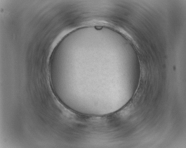 X0000074281478200609151839