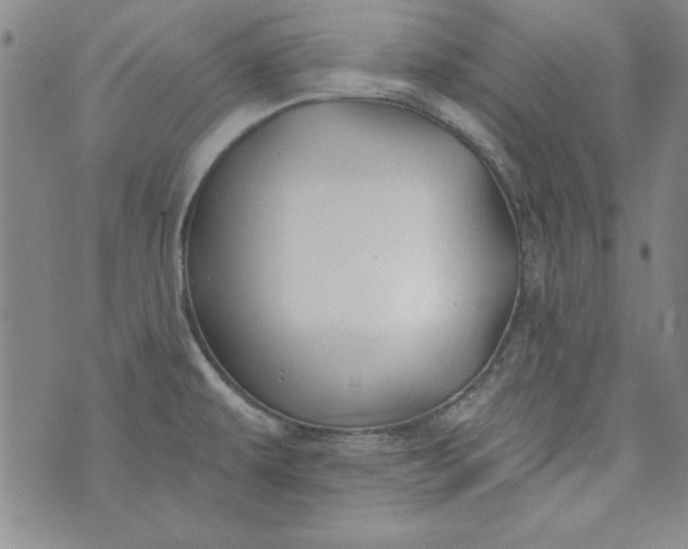 X0000074281479200609151839