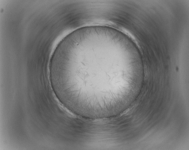 X0000074281480200609151839