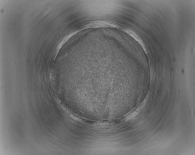 X0000074281481200609151839