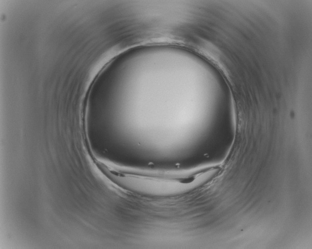 X0000074281483200609151839