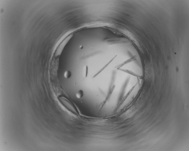 X0000074281484200609151839