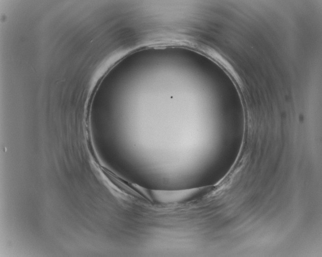 X0000074281485200609151839