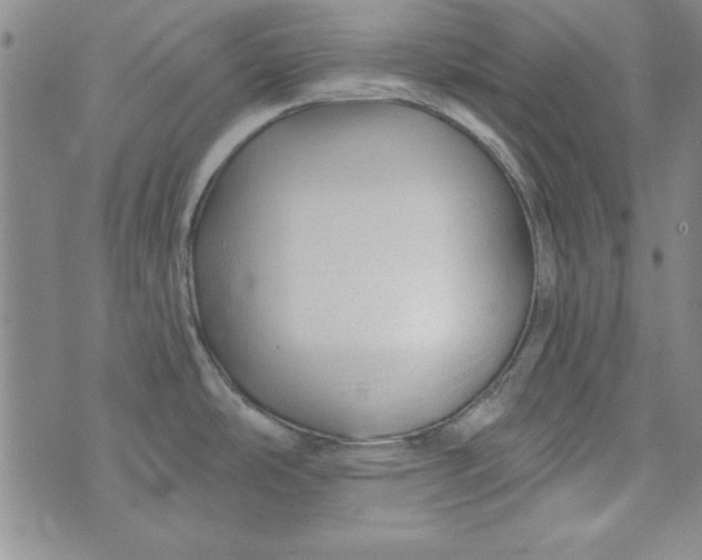 X0000074281486200609151839