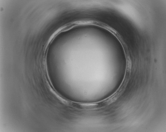 X0000074281487200609151839