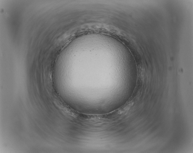 X0000074281489200609151838