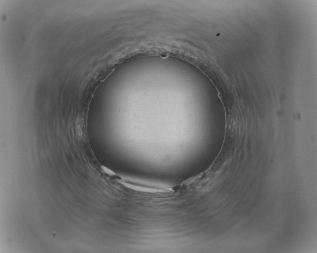 X0000074281490200609151838