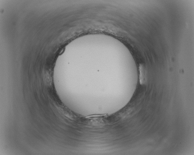 X0000074281491200609151838