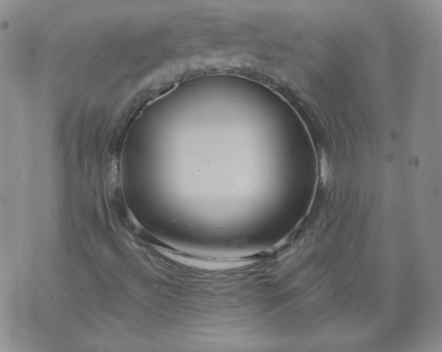 X0000074281492200609151838