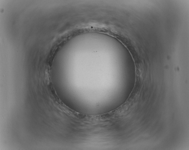 X0000074281493200609151838