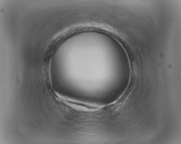 X0000074281494200609151838