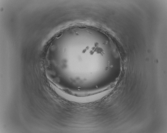 X0000074281496200609151839