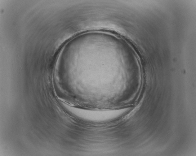 X0000074281497200609151839