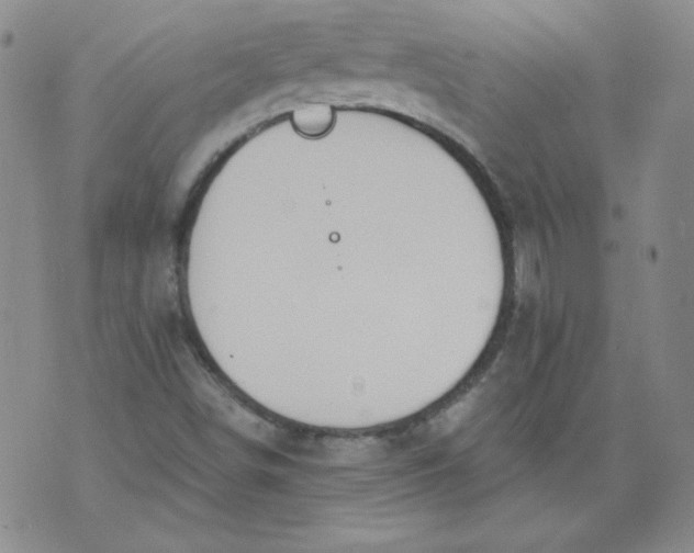 X0000074281498200609151839