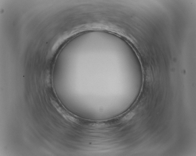 X0000074281499200609151839