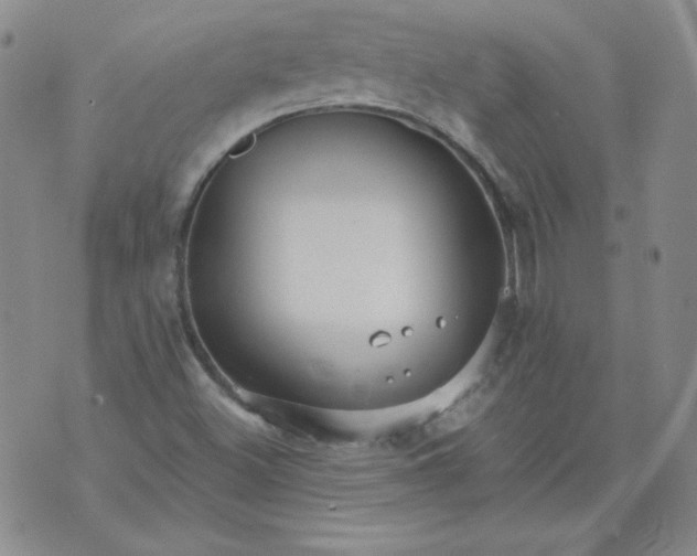 X0000074281500200609151839